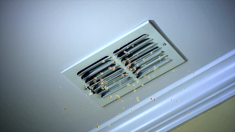Best Ventilation Cleaning Services  in Riceville, TN